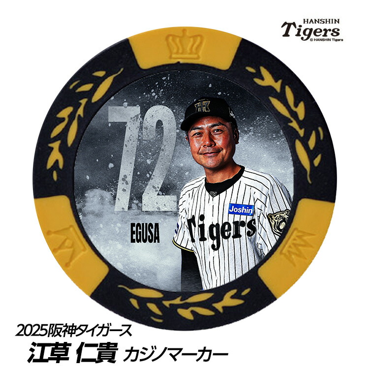 しんべいさん専用 阪神タイガース 藤本敦士選手 実使用バット サイン入り 阪神タイガース 藤本敦士選手 実使用バット サイン入り ZETT