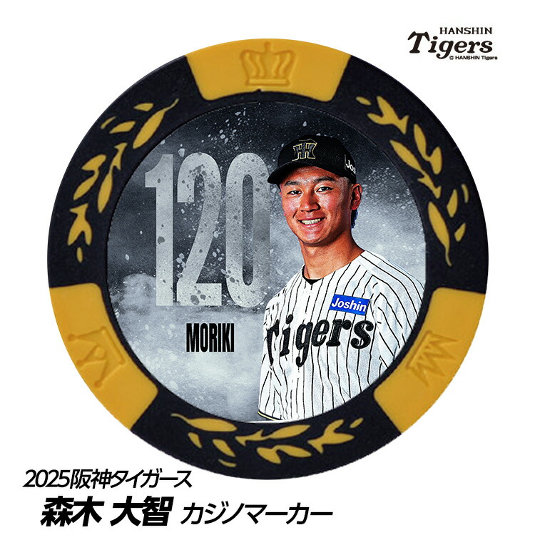 阪神タイガースM〜Lサイズ 阪神タイガース レプリカユニフォーム Lサイズ パープル