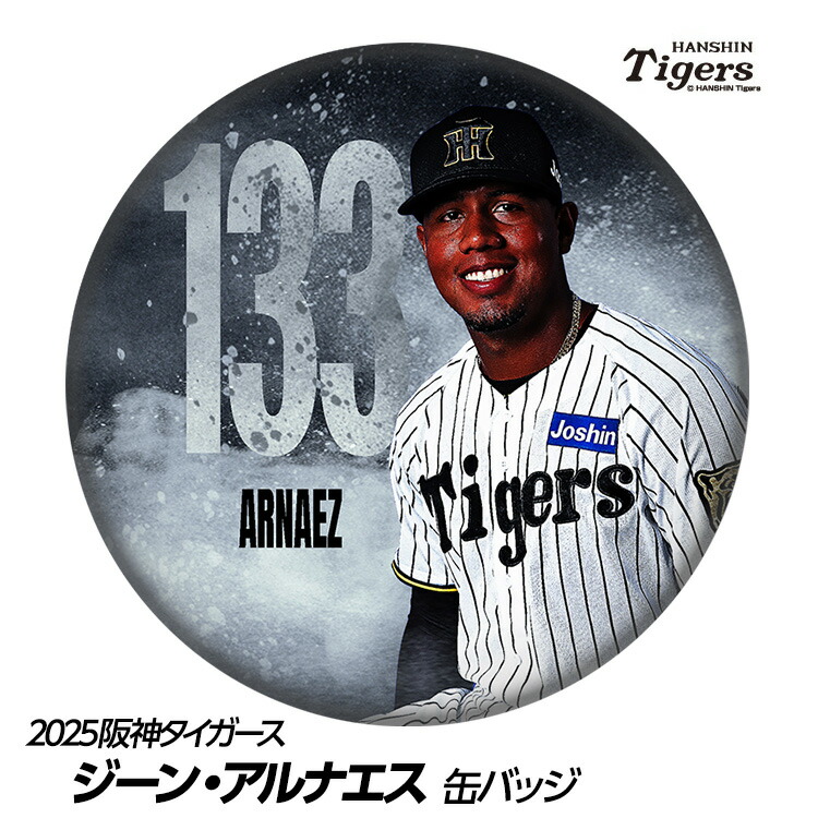 阪神タイガース スタジャン 公式ファンクラブ 中古 傷有り 格安品 プロコレスタジャン 背番号あり☆受注生産品☆ - 阪神タイガース