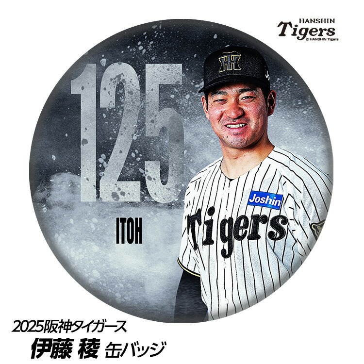 神戸タイガース BBM2014 阪神タイガース レギュラーカード No.T26 岩本輝 : かー