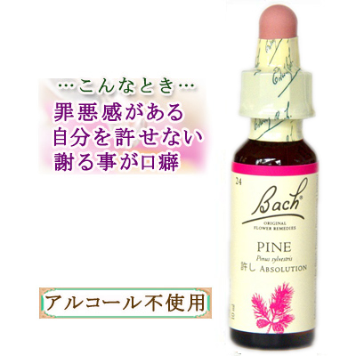 オマケ付き12/2034ヒーリングハーブス社フルセット■バッチフラワーレメディー オマケ付き12/2034ヒーリングハーブス社フルセット□バッチ