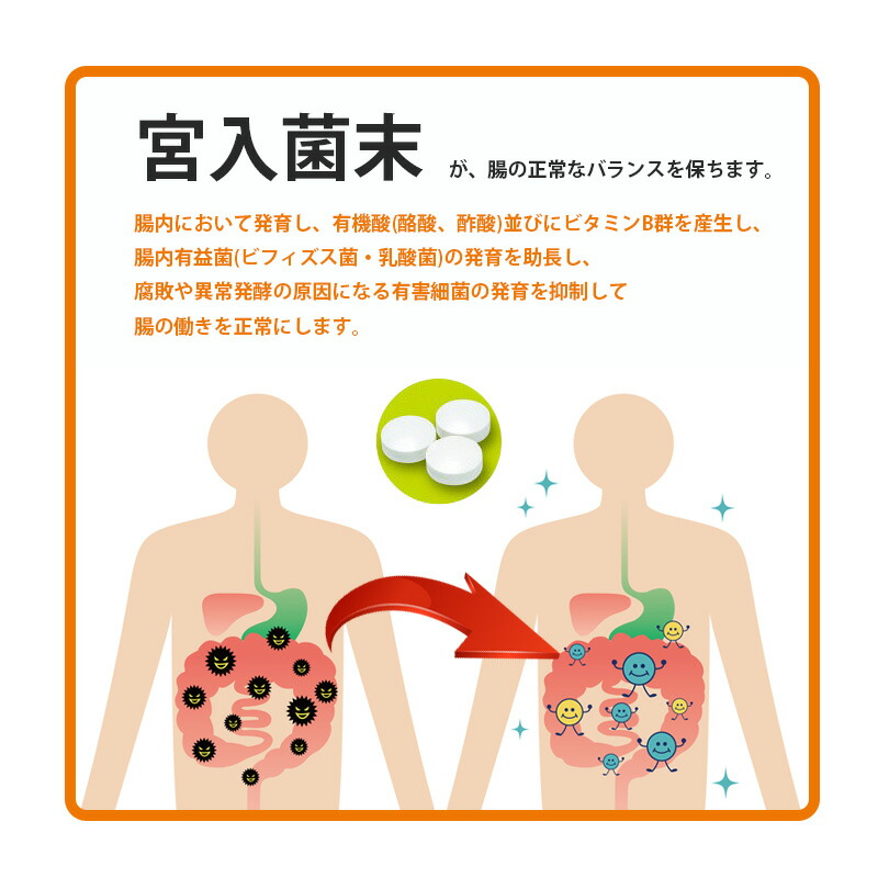 強ミヤリサン 錠 ミヤリサン 1000錠 4個セット 整腸剤 軟便 便秘 腹部膨張感 お腹の調子が悪い 便が軟らかい 便秘しがち プロバイオティクス 酪酸菌 宮入菌 腸内バランス 整腸薬 Natboardmcqs Com