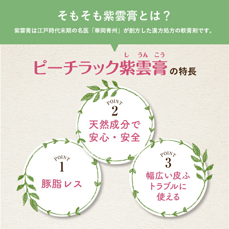 市場 第2類医薬品 26g あかぎれ 2箱 ひび 切り傷 送料無料 痔 ピーチラック 紫雲膏 塗り薬