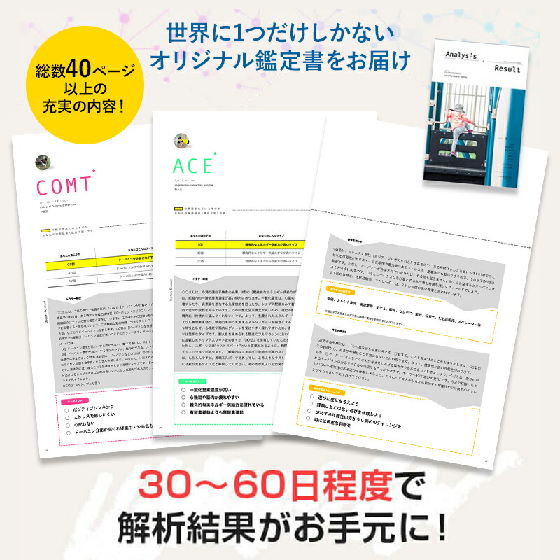 30日0 00 31日9 59までp5倍 Genetist 遺伝子検査キット 遺伝子検査 唾液 Dna 子ども 赤ちゃん 記憶力 判断能力 理解力 分析力 推理力 知性 認知能力 耐久力 速度 瞬発力 持久力 記憶力 Kanal9tv Com