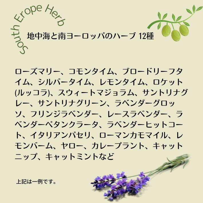 地中海 北欧 アジア 南米から24種類のハーブをお届け ハーブの苗物 原産地 24種 2地域選んでハーブ ハーブ苗 24種 原産地別 ハーブ苗 おまかせセット 9vp 24ポット 初心者におススメ 原産地域を選ぶので 同じ環境を好む 育てやすい 管理がしやすい ハーブセット