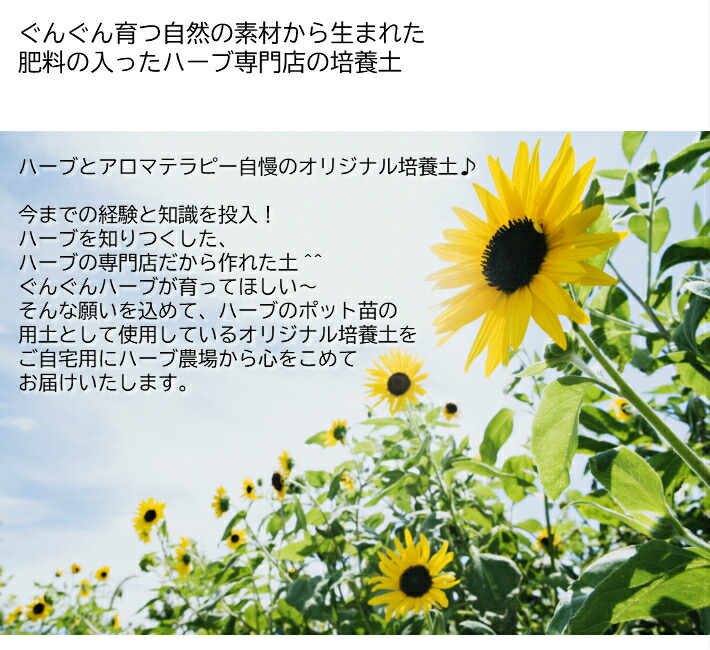 おまかせ草背景 12ジャンルと肥の入ったハーブ専業販売店の作る土壌5l 4バッグ 園芸用品 綯い交ぜ用土 園芸用土 ファーム直送 ハーブ苗専門店 Hotjobsafrica Org