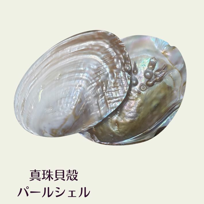 Pearl Shell Polished Dish, Large Size, Natural, Smudging, Interior Decor, Jewelry Plate, Purification Item