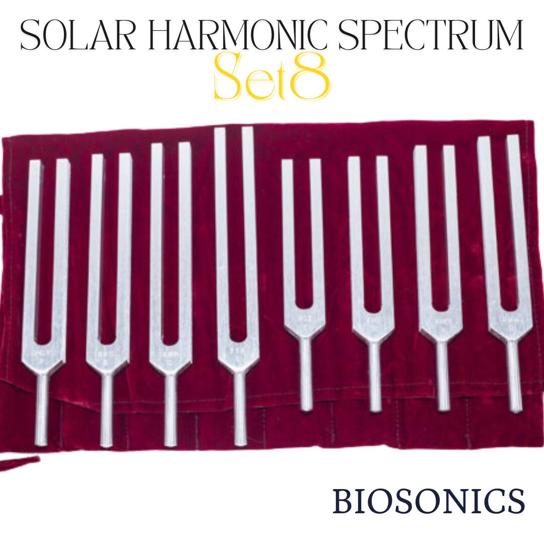 楽天市場】チューナー 音又 脳波をチューニングする ブレイン