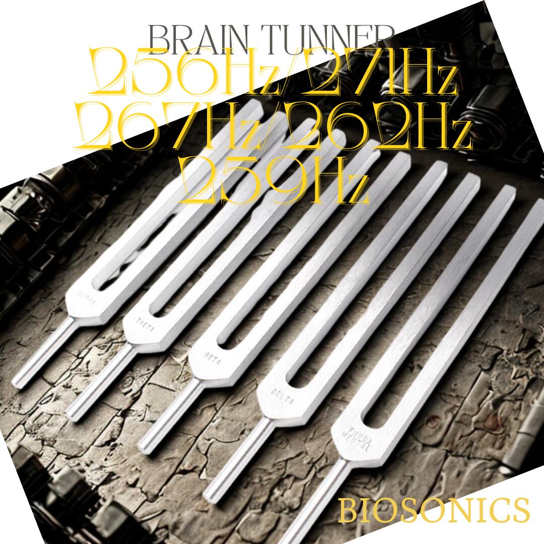 楽天市場】チューナー 音又 脳波をチューニングする ブレイン