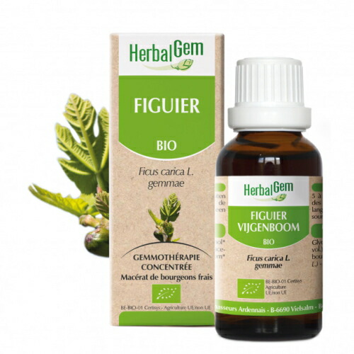 ハーバルジェム フィグ BIO 万物の霊長用 30ml 胃の腑の声の調子 御休み受け支える 消化取り合わせの癒し フィグツリー 無花果状果 チンキ Fig FIGUIER【定め事インポート品】
