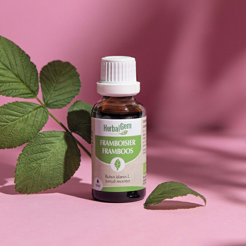 ハーバルジェム フランボワーズ BIO 15ml 50ml ラズベリー フェムケア 下り物一回り お上さんの利得のヘルスケア フェムテック 薬草 サプリ ジェモエッセンス 万物の霊長用 FRAMBOISIER【置き目インポート品】