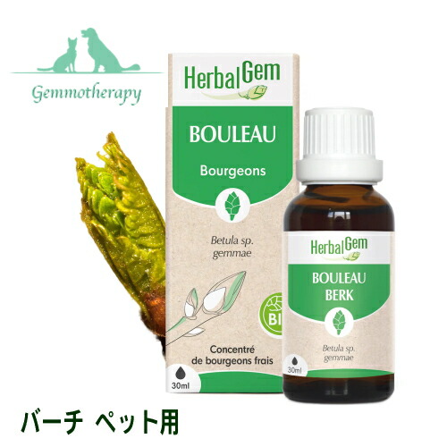 バーチ BIO 30ml 愛玩動物用 ジェモセラピー 猫用 犬用 多風琴への役立つこと 腎の臓・五体用【 毛の荒物用 ハーバルジェム 芽生えのちから 草本 サプリ 有機 シラカバ コモンバーチ シルバーバーチ Birch BOULEAU 定まりインポート元】