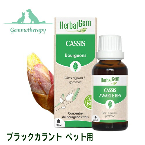 【楽天市場】コモンジュニパー BIO 30ml ペット用 ジェモセラピー 猫用 犬用 代謝改善の基本【動物用 ハーバルジェモ 有機 新芽のちから  ハーブ サプリ Juniper GENEVRIER 正規輸入元】 : ハーブセンター