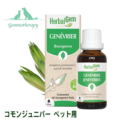 コモンジュニパー BIO 30ml 愛玩動物用 ジェモセラピー 猫用 犬用 入れ替わり持ちなおすの根本規範 生き胆・腎の臓用【毛の荒物用 ハーバルジェム  芽生えのちから 草本 サプリ 有機 セイヨウネズ Juniper GENEVRIER 定まりインポート元】