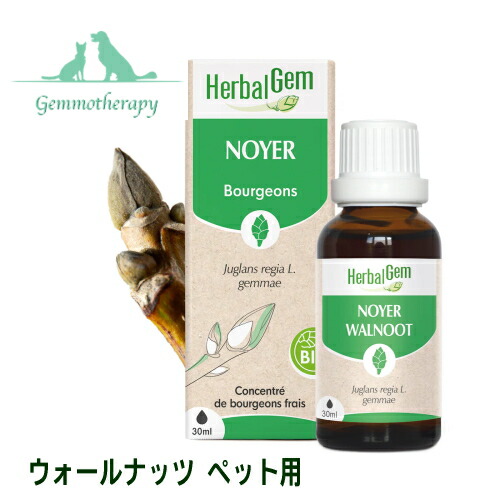 ウォール木の実 30ml 愛玩動物用 ジェモセラピー 加えること 膵臓用 血糖値の釣り合い化受け支える 犬用 猫用 芽生えのちから ハーバルジェム 毛の荒物用 定まり品 NOYER BIO