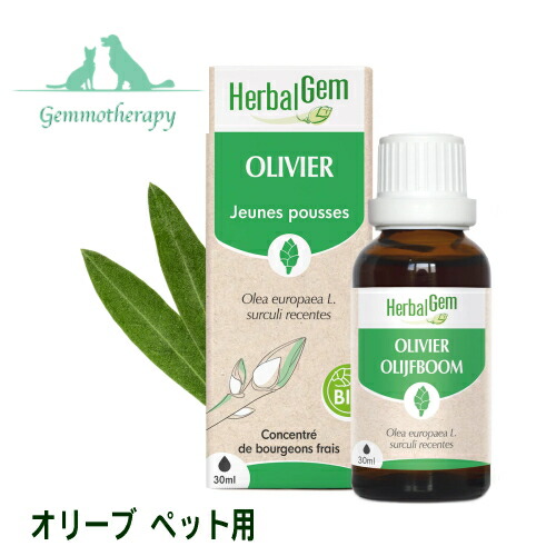 【楽天市場】コモンジュニパー BIO 30ml ペット用 ジェモセラピー 猫用 犬用 代謝改善の基本【動物用 ハーバルジェモ 有機 新芽のちから  ハーブ サプリ Juniper GENEVRIER 正規輸入元】 : ハーブセンター