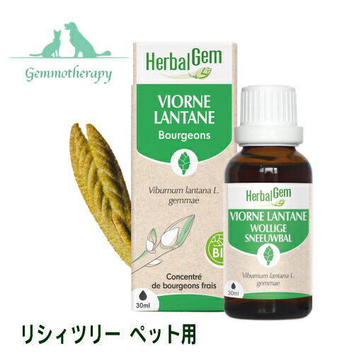 リシィツリー BIO 30ml 愛玩動物用 ジェモセラピー 猫用 犬用 呼吸作用役立つことの生まれ変わり受け支える 肺・気管支用 咳込み【 毛の荒物用 ハーバルジェム 芽生えのちから 草本 サプリ 有機 ランタナガマズミ VIORNE 定まりインポート元】