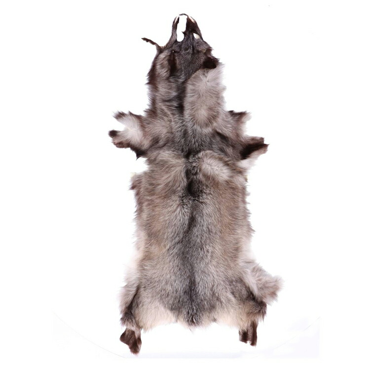 ブルーフォックス 原皮　ホワイト系 ブルーフォックス 原皮 ホワイト系 - メルカリ