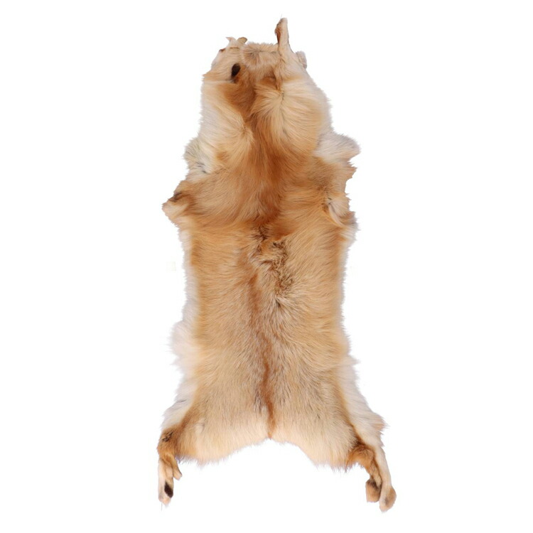 楽天市場】ブルーフロストフォックス ファー 原皮 顔付き ボア 剥製