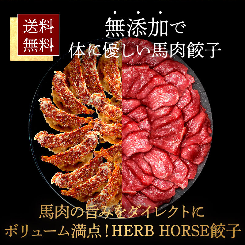 【送料無料】馬肉餃子プレーン馬肉16g×24個（12個1セット）馬肉の旨みをダイレクトに馬肉100％HERBHORSE餃子/馬肉餃子/おつまみ/美味しい