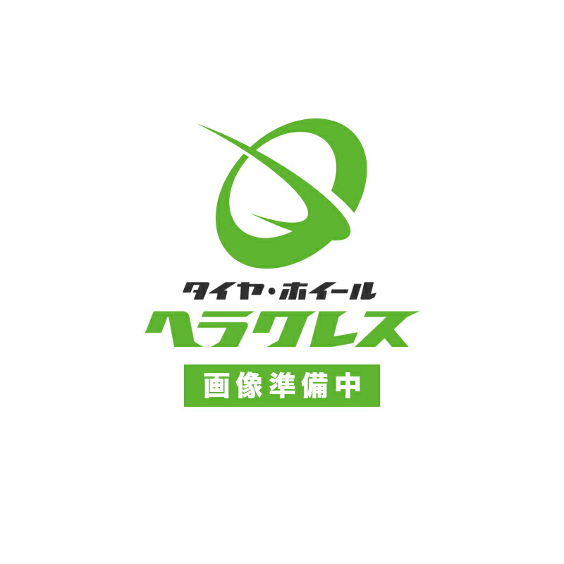 【取付対象 送料無料】RTGメッキホイール 19.5インチ&times;6.75(136) 6穴/285 JIS規格 リア用 | アールティージー 車ホイール メッキホイール メッキ ホイール メッキ加工 リア トラック ダンプ トレーラー 大型 車用 車用品 カー用品｜タイヤ・ホイール ヘラクレス