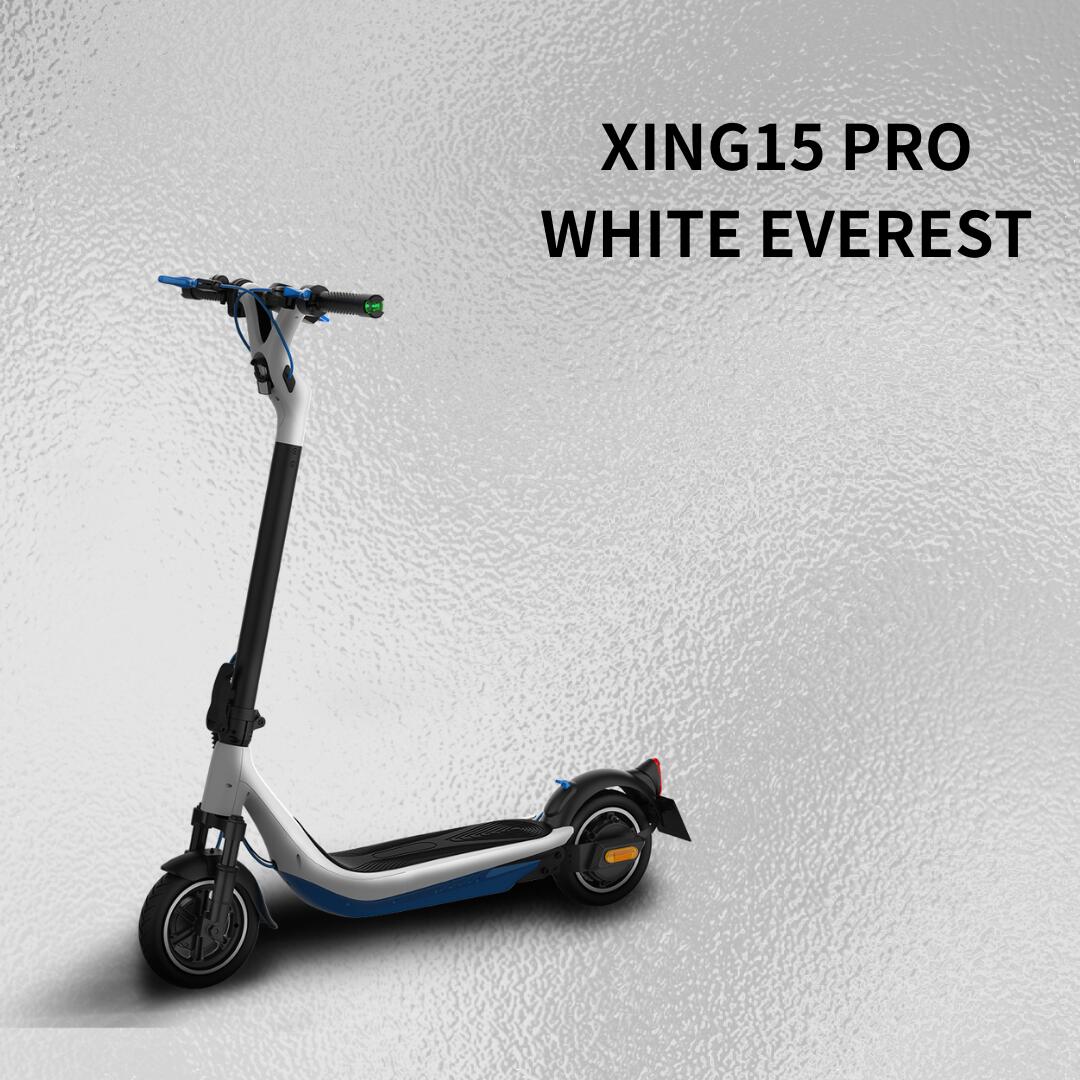 店頭：RICHBIT ES1 Pro（シルクホワイト) – EV PARK (Enjoy Vehicle)