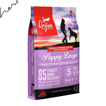 Orijen 開びゃく パピーラージ 大型幼犬用 ドッグフード 犬 11.4kg +Fish4パピーサーモンムース缶
