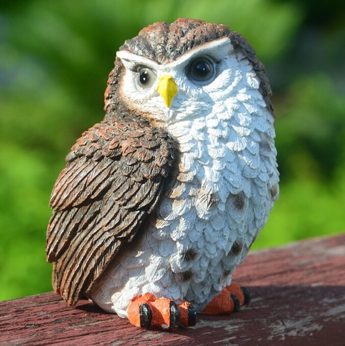 楽天市場】フクロウ ふくろう 梟 鳥 オブジェ オーナメント
