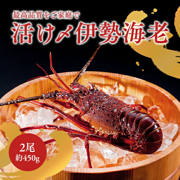 母の日 伊勢海老 冷凍 2尾 鳥羽志摩産 活け〆 約450g 送料無料 ギフト 高級海産物 お祝い 贈答用 送料無料