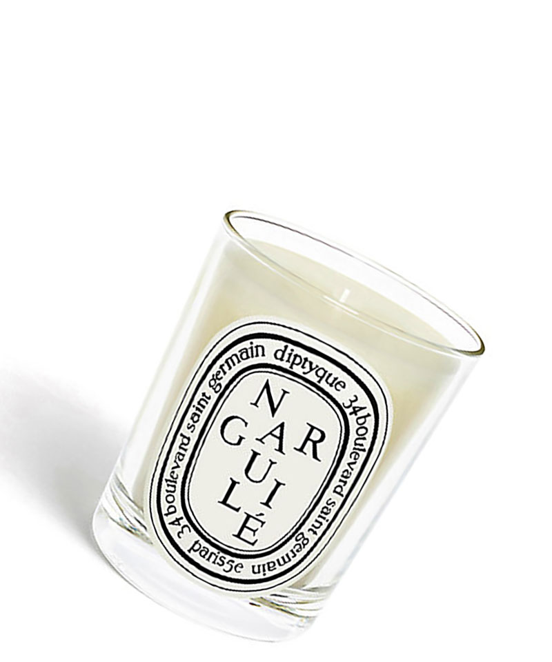 Diptyque リフィラブルキャンドル 270g  ラヴァレデュタン プレミアム リフィラブルキャンドル ラ ヴァレ デュ タン (時の