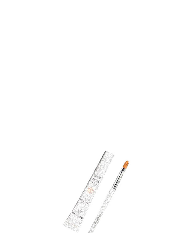 sisley（シスレー） フィト サーンズ エクラ 15mL／コンシーラー（専用毛はらい付）