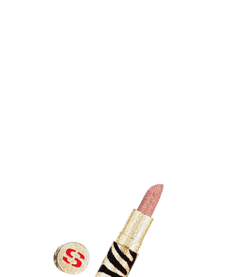 sisley（シスレー） フィト 頬べに 天鵝絨 3g／棒紅