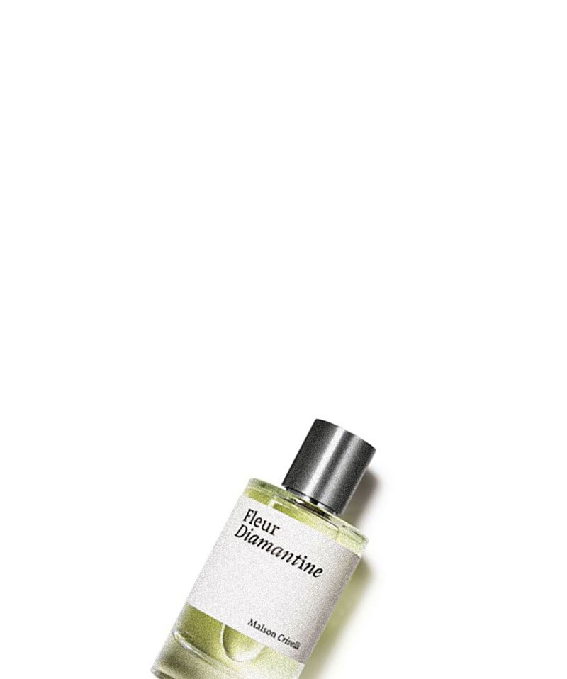 楽天市場】メゾン クリヴェリ ローズ サルティフォリア