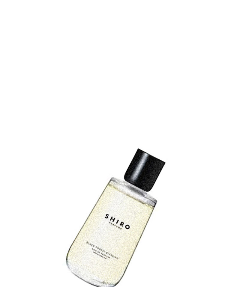2025/7/29 発売 SHIRO /シロブラック フォレスト ブレッシング 100mL/オードパルファン
