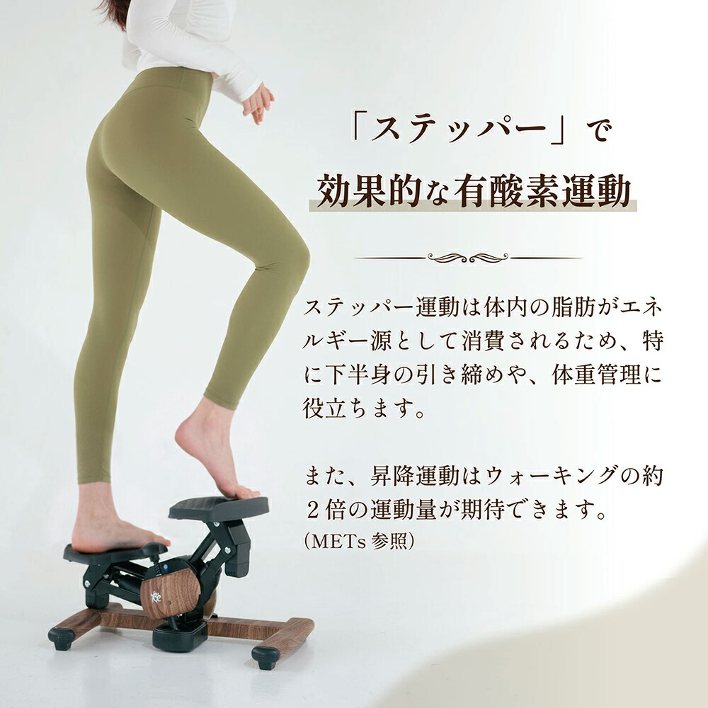 正規品】年間ランキング1位！ ツイストエアロステッパー Premium SP