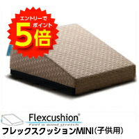 楽天市場】フレックスクッション+DVDセット [サンテプラス] ストレッチ