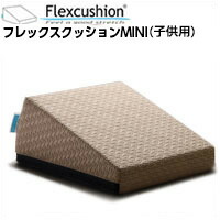 サンテプラス フレックスクッション ベージュ Amazon | サンテプラス フレックスクッションMINI (子供用