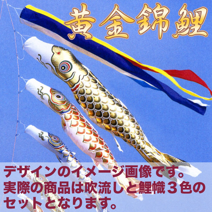 楽天市場】【送料無料】黄金に輝くうろこ☆黄金錦鯉 五色吹流 2M 