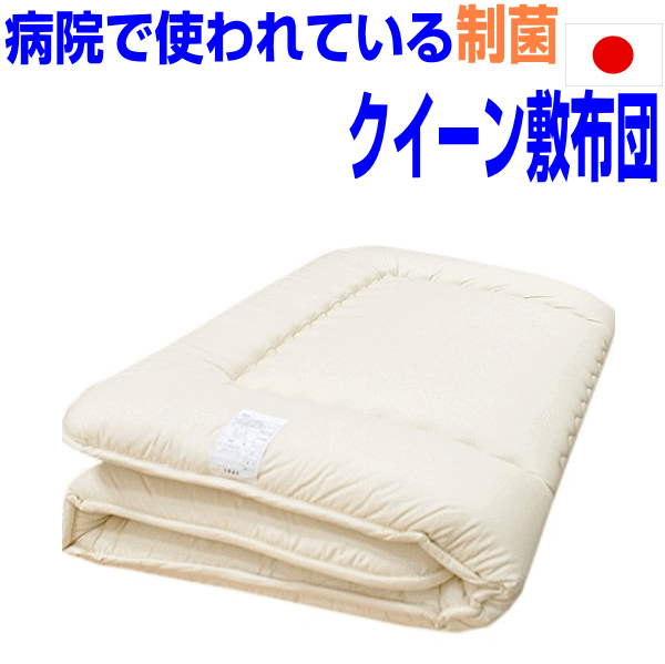 即納聞き届ける/泊まり召しかかえる 制菌 敷布団 皇后陛下大いさ抗 アレルギー反応相応う日本製 国産 抗菌 防壁蝨目 吸汗お医者さん敷き布団 クィーンサイズ 洗える締めつける固体性 朦々たる固綿 敷布団 腰痛 軽さしき布団/しきふとん他愛も無い 敷ふとん/貨物輸送無料