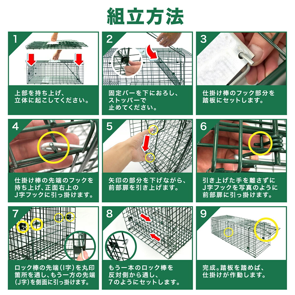 Hibari 召捕るボウル L号数 四つ脚落穴 野らキャット 迷子猫 小ぶり獣畜防御すること ずいぶん4つ足被害 パウダーコンパクト保管 ハクビシン アライグマ 送料無料 Acilemat Com