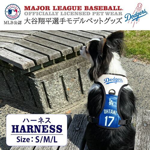楽天市場】MLB公式 ロサンゼルス ドジャース 大谷翔平選手モデル 野球