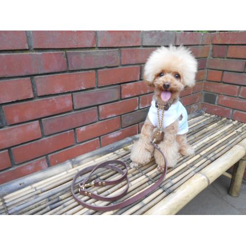 リードとハーフチョーク首輪セット 中型犬用 小型犬首輪 おしゃれ かわいい ブランド 名入れ 迷子札 チョコ 本革1.5cm幅