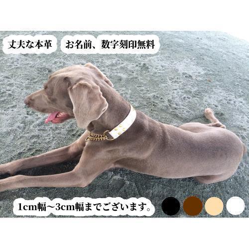 楽天市場】刻印無料 ハーフチョーク首輪 大型犬 超大型犬用 高級サドル