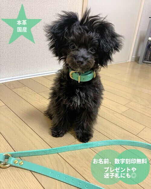 楽天市場】お名前 数字刻印無料 本革 小型犬 中型犬 首輪とリード