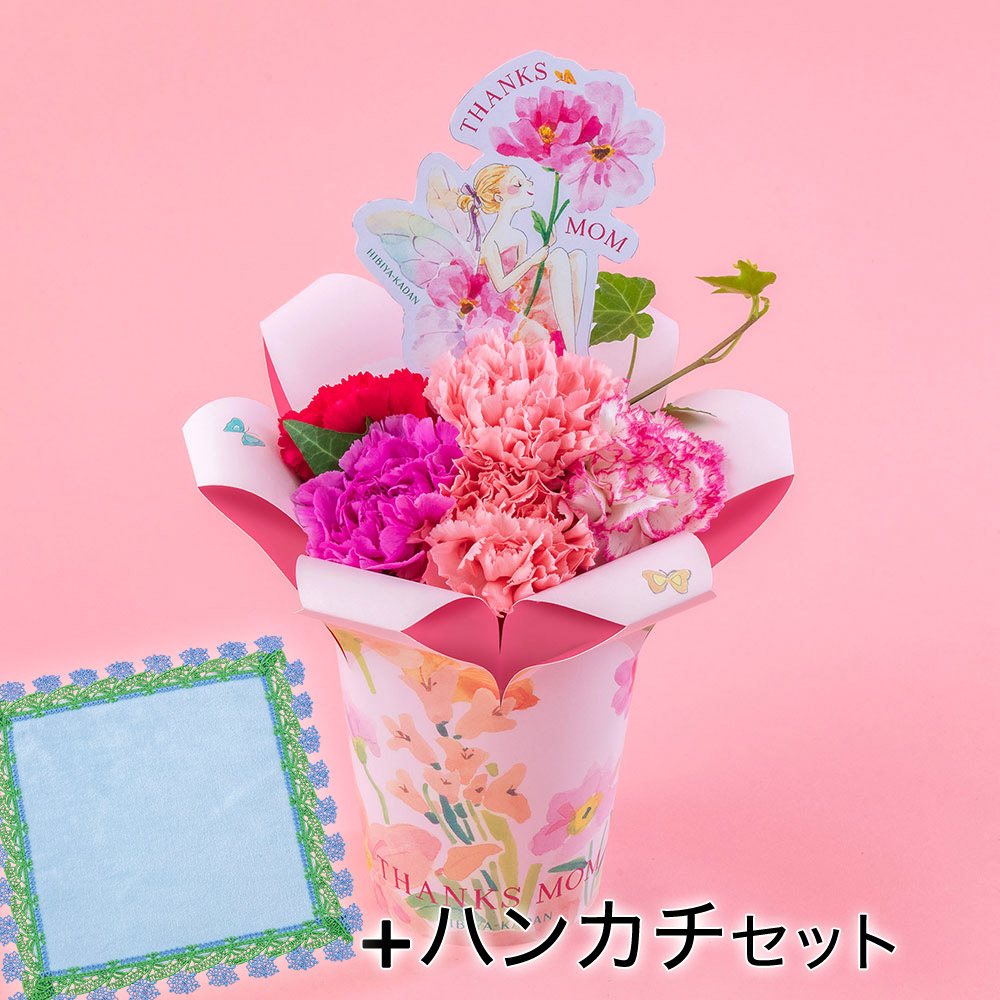 楽天市場】期間限定価格 母の日 カーネーション 鉢植え 花 「近沢