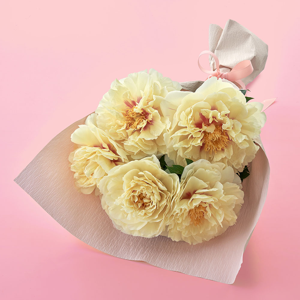 母の日 花束「芍薬(イエロー5本)」 日比谷花壇