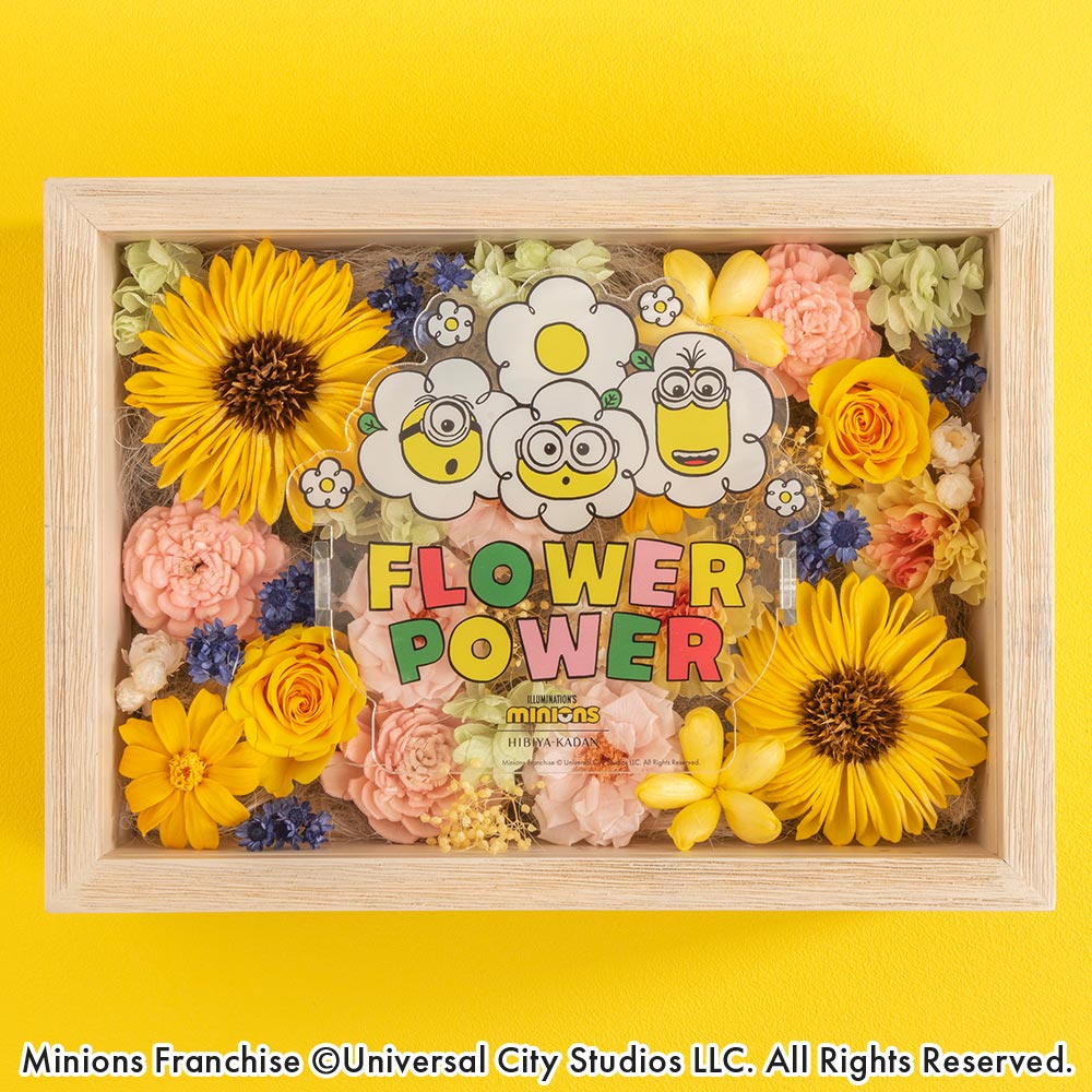 生まれ落ちる日 花 ミニオンズ フラワーフレームアート「FLOWER POWER」 日比谷花壇 差し上げ物 プリザーブドフラワー アーティフィシャルフラワー 祝する日 お見まい 生み出すこと祝賀会 一緒になる祝する日 退位祝賀会 申したて歌留多