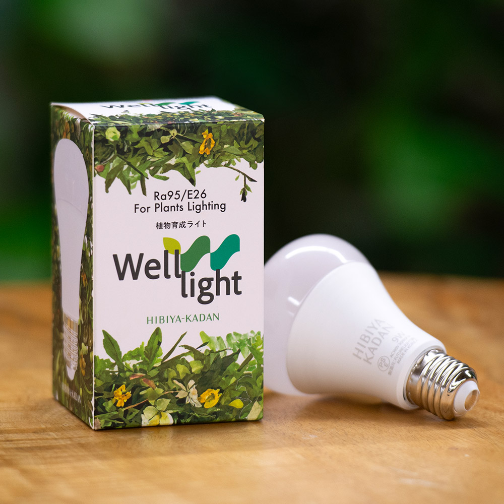 植物育成ライト LED 6個セット バラ売り可 楽天市場】電球単品 植物育成ライト e26 led 植物ライト 植物