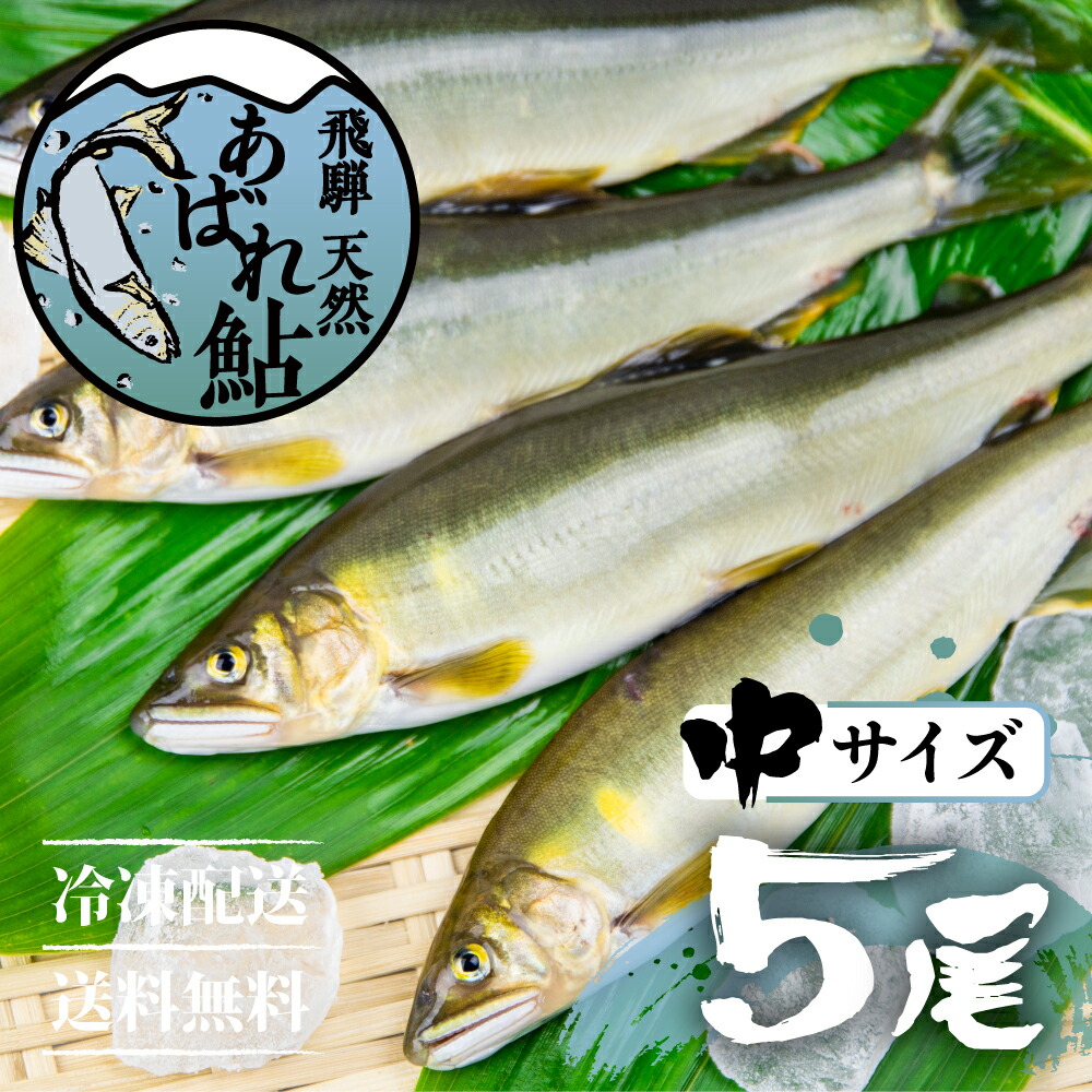 飛騨のあばれ鮎 生まれ付き鮎 中位大きさ 5匹 天然 アユ 鮎 岐阜 飛騨 サイトシーイング点救い船 宿陣 アウトドア 丸焼き 滝川魚 飛騨高山 岐阜県飛騨中心地 Upntabasco Edu Mx