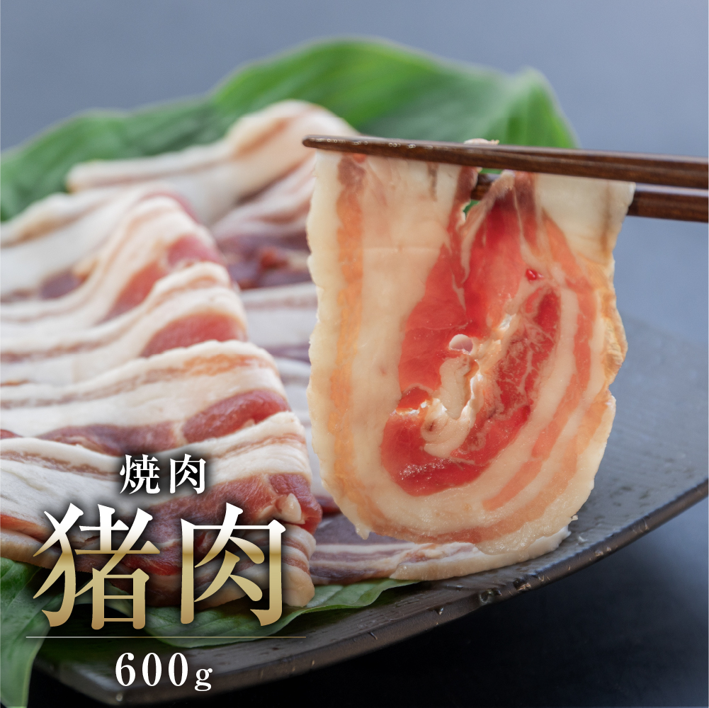 【関ジャニクロニクルＦで話題】飛騨ジビエ  猪肉 焼肉 600g 猪 ジビエ 猟師 肉 イノシシ イノシシ肉 飛騨狩人工房